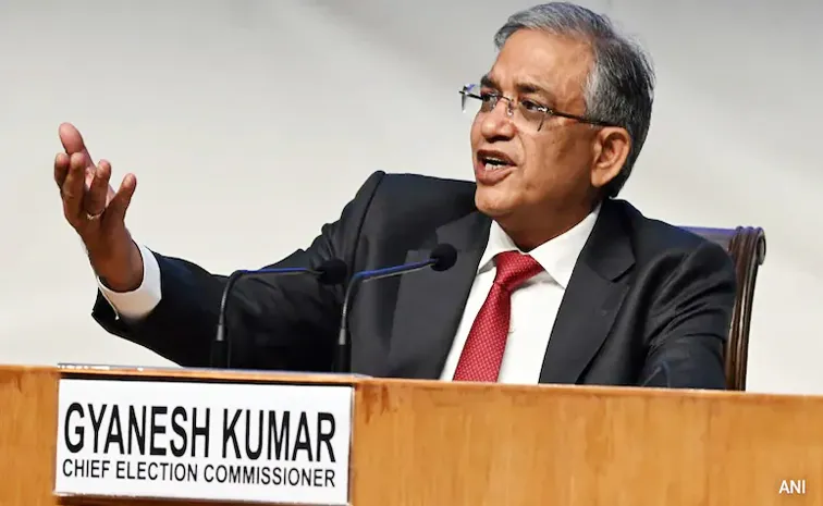 what is special intensive revision in election