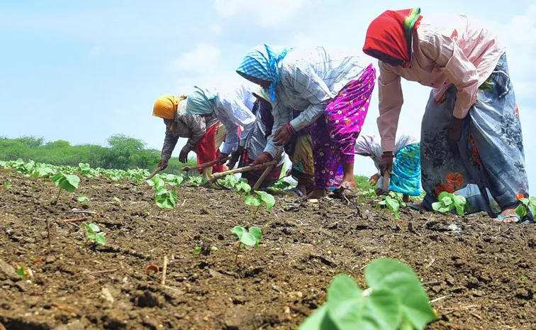 Key Facts on Women in Indian Agriculture