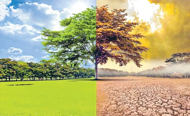 The impact of global warming on menstruation