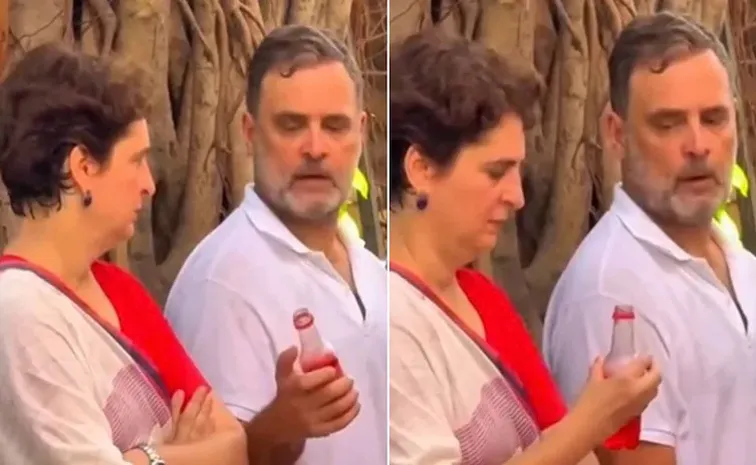 Rahul And Priyanka Gandhi Sting Moment Viral In Social Media