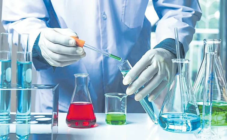 Anupam Rasayan eyes US, Europe pharma push after Bliss deal