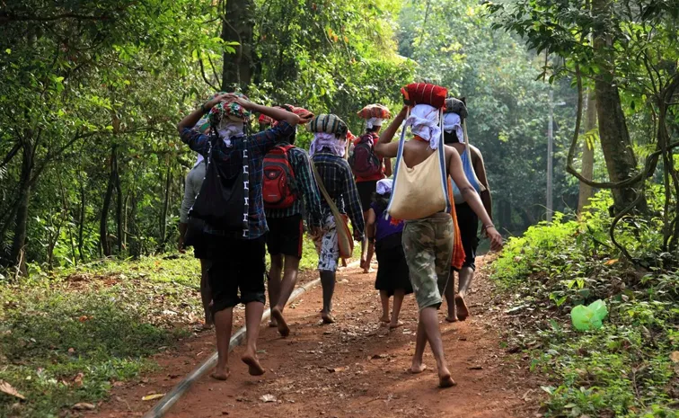 24 hour trekking in Sabarimala a key decision of the Forest Department