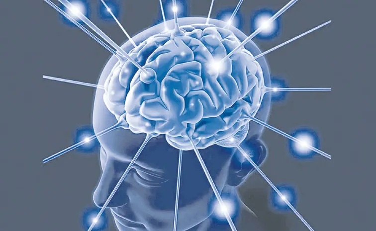 Different breathing patterns activate our brain networks
