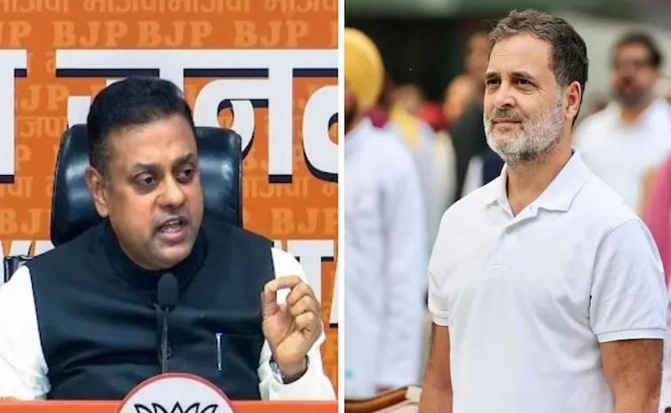 రాహుల్‌ని నకీలి ప్రధానిగా కూర్చొబెట్టండి.. బీజేపీ ఎంపీ