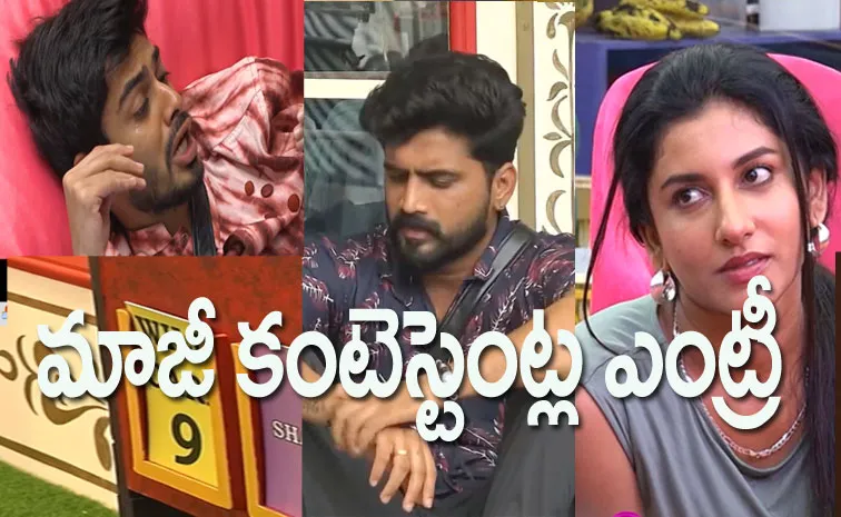 Bigg Boss Telugu 8, Sep 26th Full Episode Review: 9 Wild Card Entries