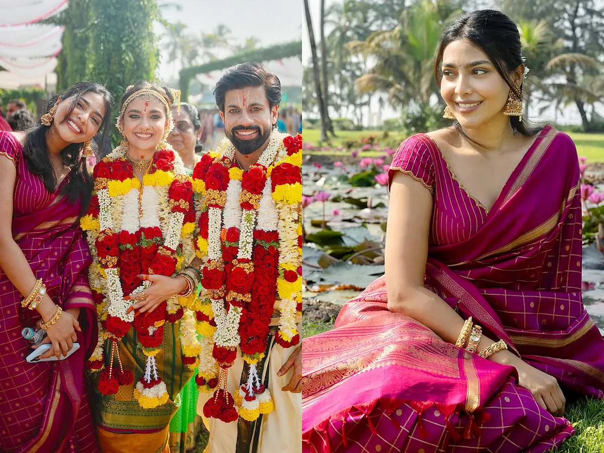 Intresting Facts About Keerthy Suresh Wedding Photos