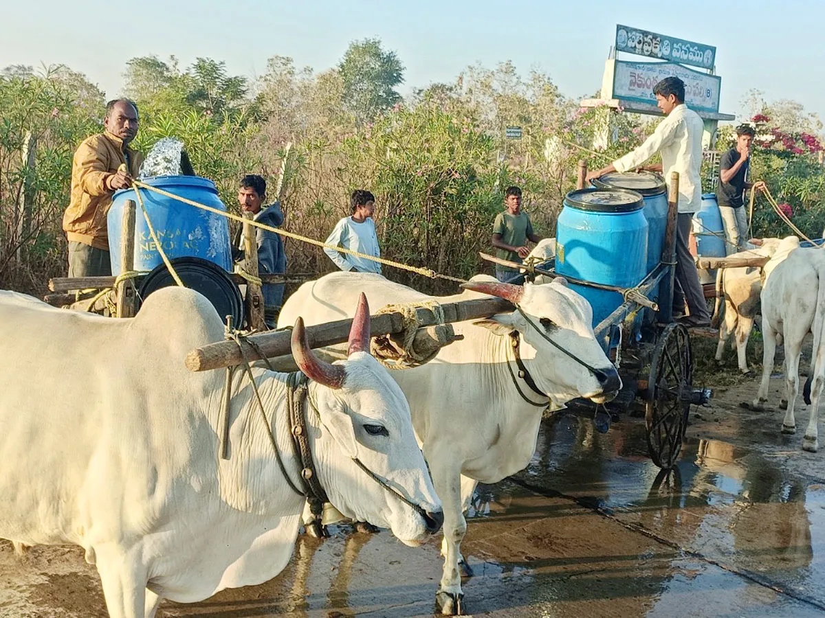 Best Photos of The Week in AP and Telangana Photo Gallery