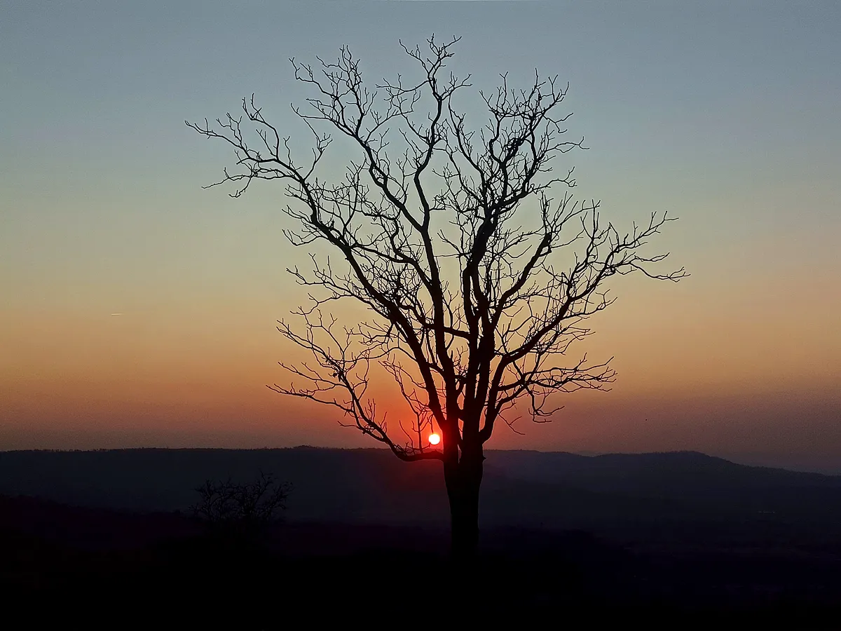 Best Photos of The Week in AP and Telangana Photo Gallery
