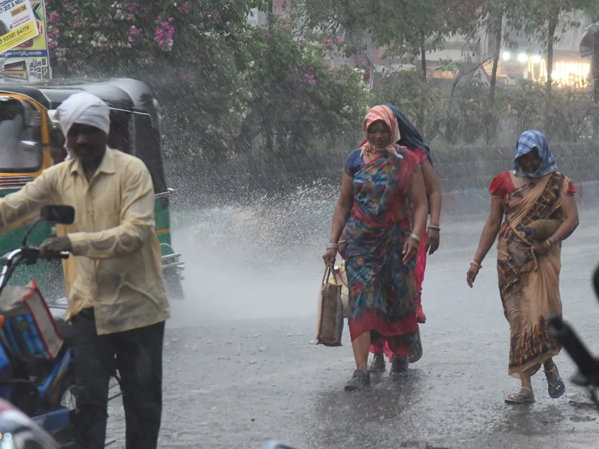 Vadagalla Vana In Telangana Photos