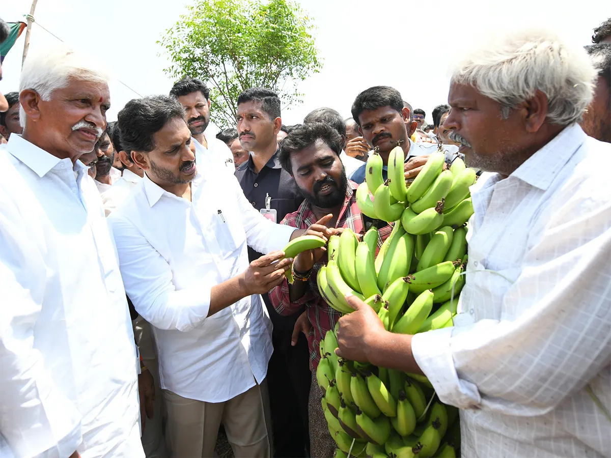 YS Jagan Support Farmers Pulivendula Photos5