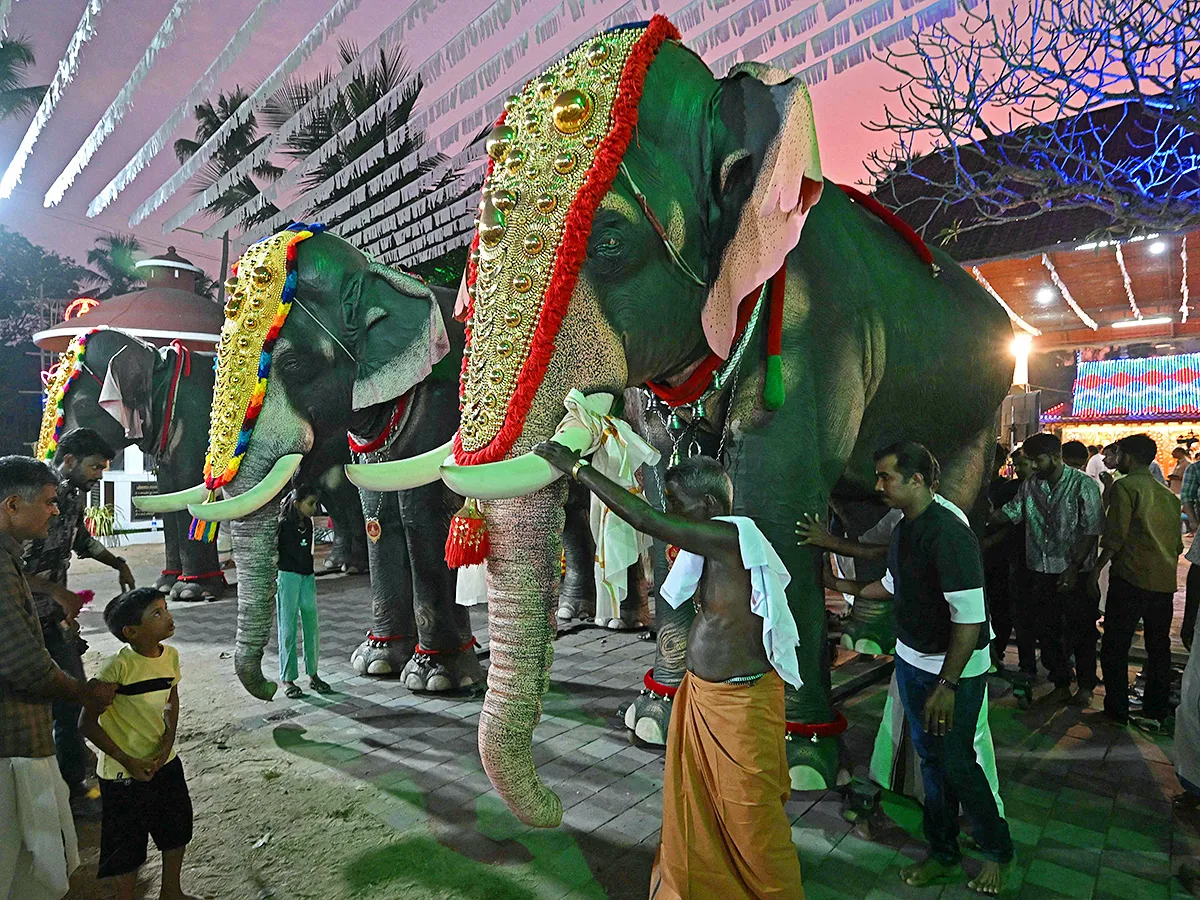 Robot elephants is pictured at a workshop in Thrissur in Kerala