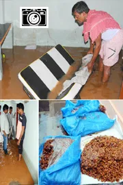 Best Photos of The Week in AP and Telangana Photo Gallery4