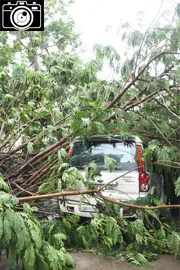 Heavy Rain At Tirupati Photos2