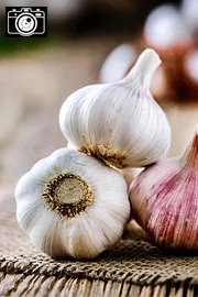 Health Tips : Health Benefits of Garlic Photos6