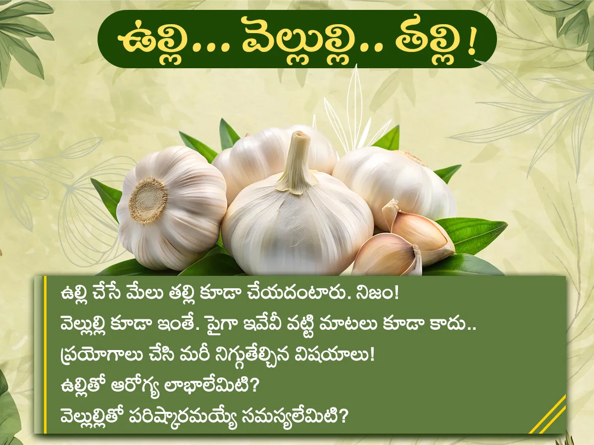 ఉల్లి... వెల్లుల్లి.. తల్లి!..అనేక ఆరోగ్య ప్రయోజనాలు (ఫొటోలు)