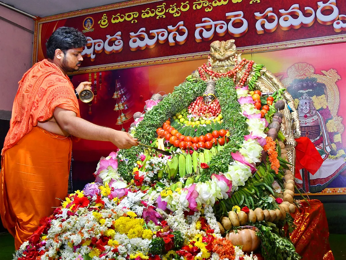విజయవాడ ఇంద్రకీలాద్రి కనకదుర్గ అమ్మవారి ఆలయంలో శాకంబరీ ఉత్సవాలు  (ఫొటోలు)