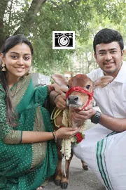 Tejasvi Surya, Sivasri Skandaprasad welcome New family member Beautiful Punganur cow Photos1