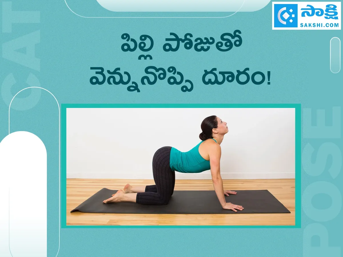 Marjariasana: How to do Cat Pose And Its Benefits8