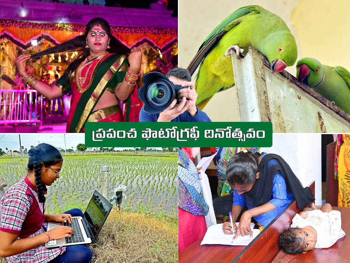 ప్రపంచ ఫొటోగ్రఫీ దినోత్సవం.. ‘సాక్షి’ అద్భుత (చిత్రాలు)