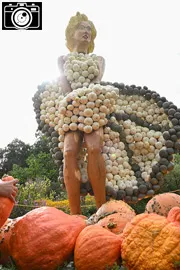 Pumpkin Festival Germany 2025 Photos1