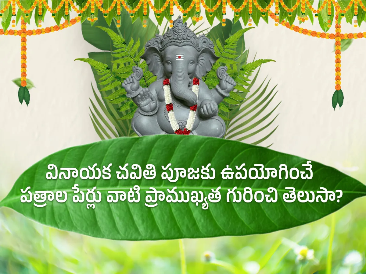 వినాయక చవితి పూజకుపయోగించే పత్రాల పేర్లు వాటి ప్రాముఖ్యత గురించి తెలుసా?