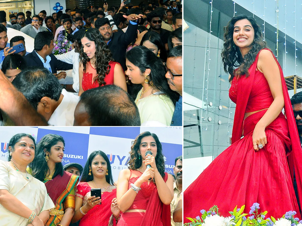 మీనాక్షి..మనసులో గుచ్చి..(ఫొటోలు)