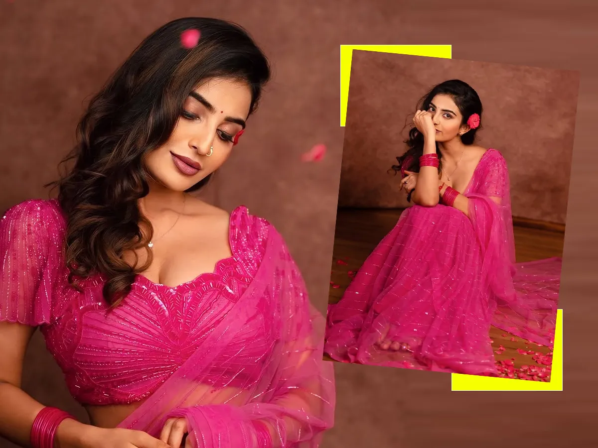 గులాబీలా అనన్య నాగళ్ల.. పింక్ చీరలో ఇలా (ఫొటోలు)