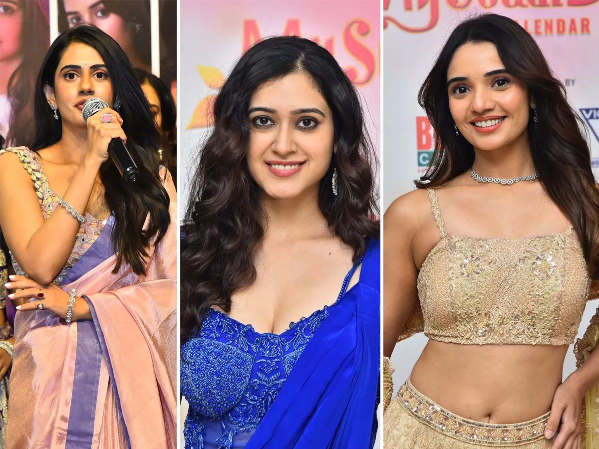 మై సౌత్‌ దివా 9వ ఎడిషన్‌ క్యాలెండర్‌ లాంచ్ లో మెరిసిన అందాల భామలు (ఫొటోలు)