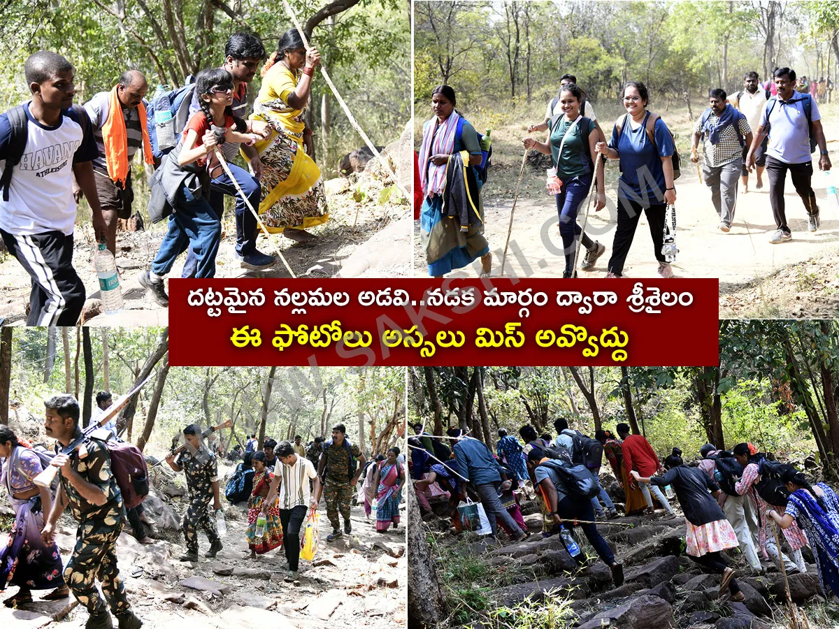 Devotees travel to the Srisailam temple by walk through forest area