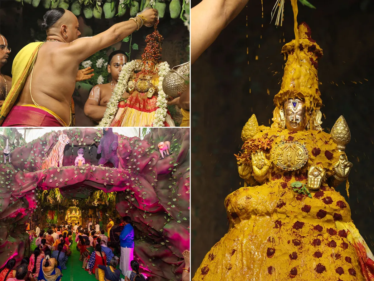 తిరుచానూరు : వైభవంగా శ్రీ పద్మావతి అమ్మవారి వసంతోత్సవాలు (ఫోటోలు)