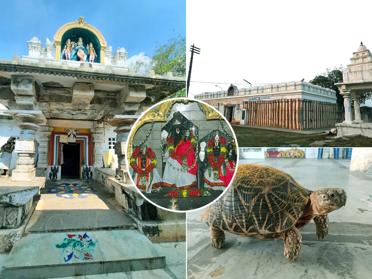 Sri Adivaraha Lakshmi Narasimha VenuGopala Swamy Temple HD Photos