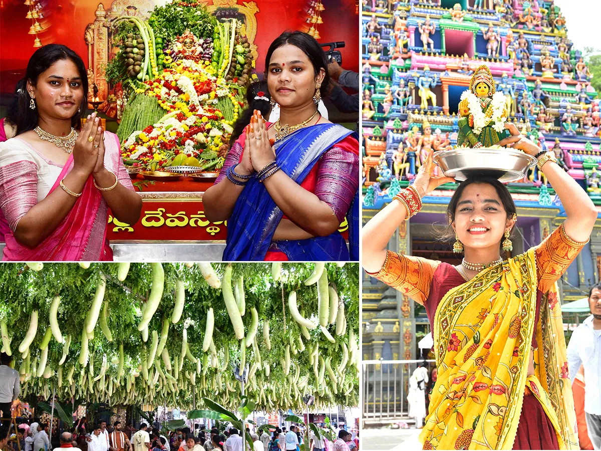విజయవాడ ఇంద్రకీలాద్రిపై వేడుకగా శాకంబరీ ఉత్సవాలు ప్రారంభం (ఫొటోలు)