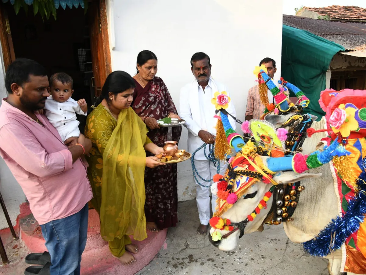 ఆదిలాబాద్ జిల్లాలో పోలాల అమావాస్య వేడుకలు...(ఫొటోలు)