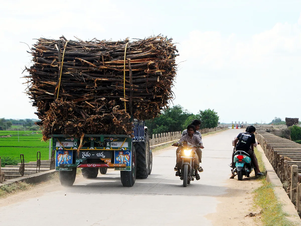 Best Photos Of The Week : ఈ వారం ఉత్తమ చిత్రాలు (సెప్టెంబర్ 13 -సెప్టెంబర్ 19)