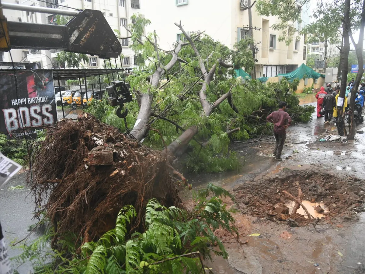 విశాఖలో భారీ వర్షం...నేలకొరిగిన చెట్లు (ఫొటోలు)