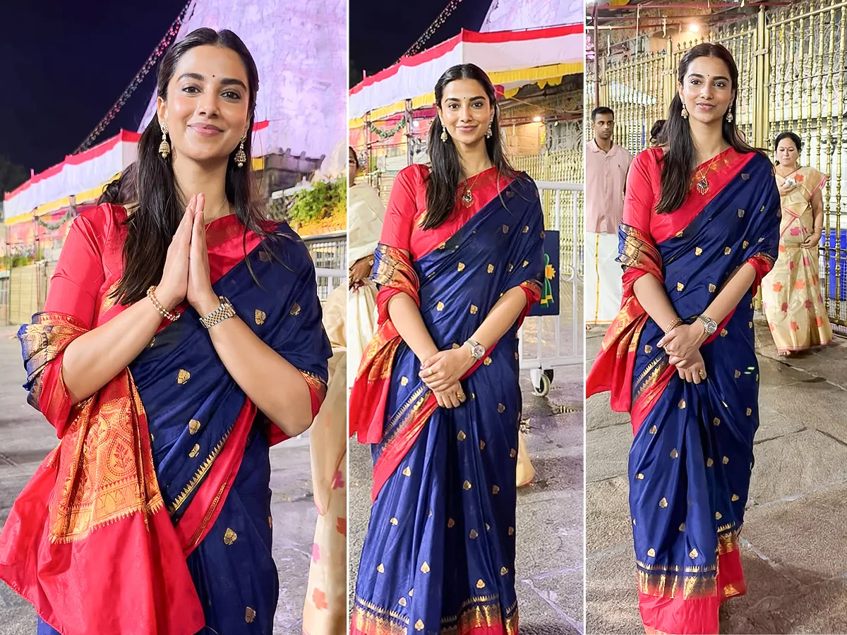 తిరుమల శ్రీ వేంకటేశ్వరస్వామి సేవలో హీరోయిన్ మీనాక్షి (ఫొటోలు)