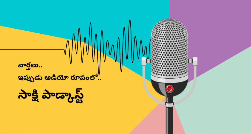 Sankranthi 2024 Celebrations In Telugu States