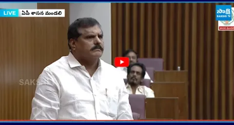 MLC Botsa Satyanarayana SHOCKING COMMENTS on Chandrababu Over PPP Model